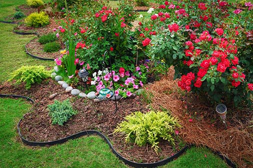 Garden Design